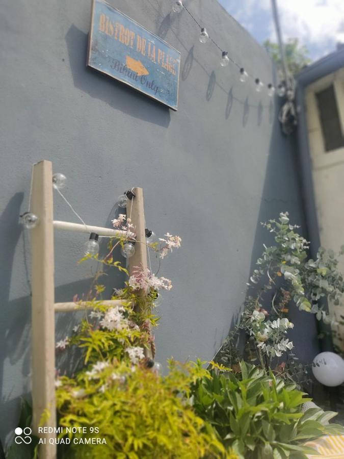 Le Cocon Des Hortillonnages D'Amiens Camon  Εξωτερικό φωτογραφία