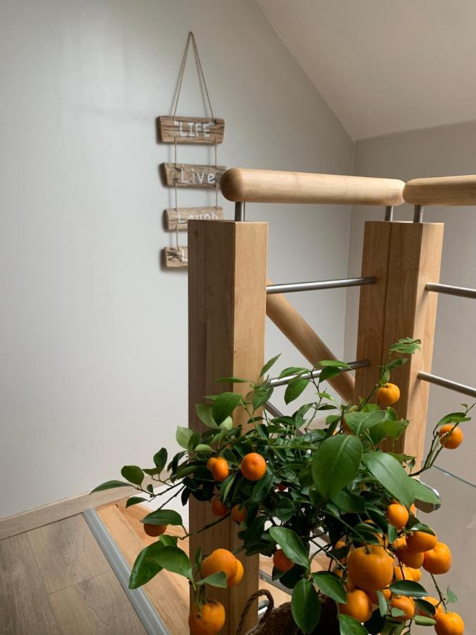 Le Cocon Des Hortillonnages D'Amiens Camon  Εξωτερικό φωτογραφία