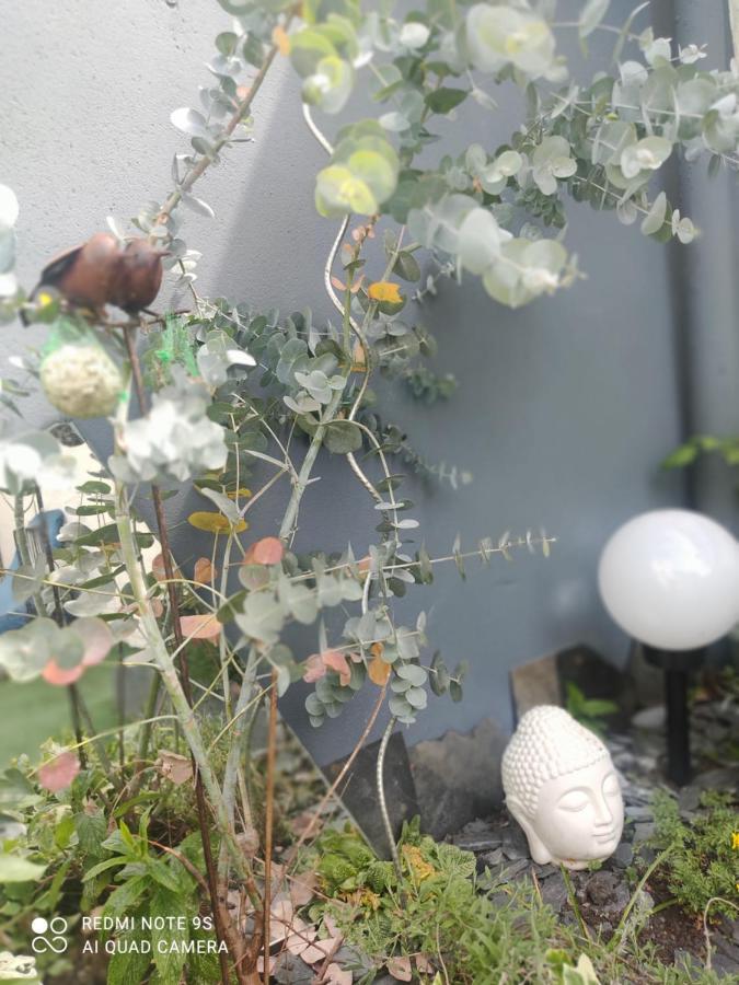 Le Cocon Des Hortillonnages D'Amiens Camon  Εξωτερικό φωτογραφία