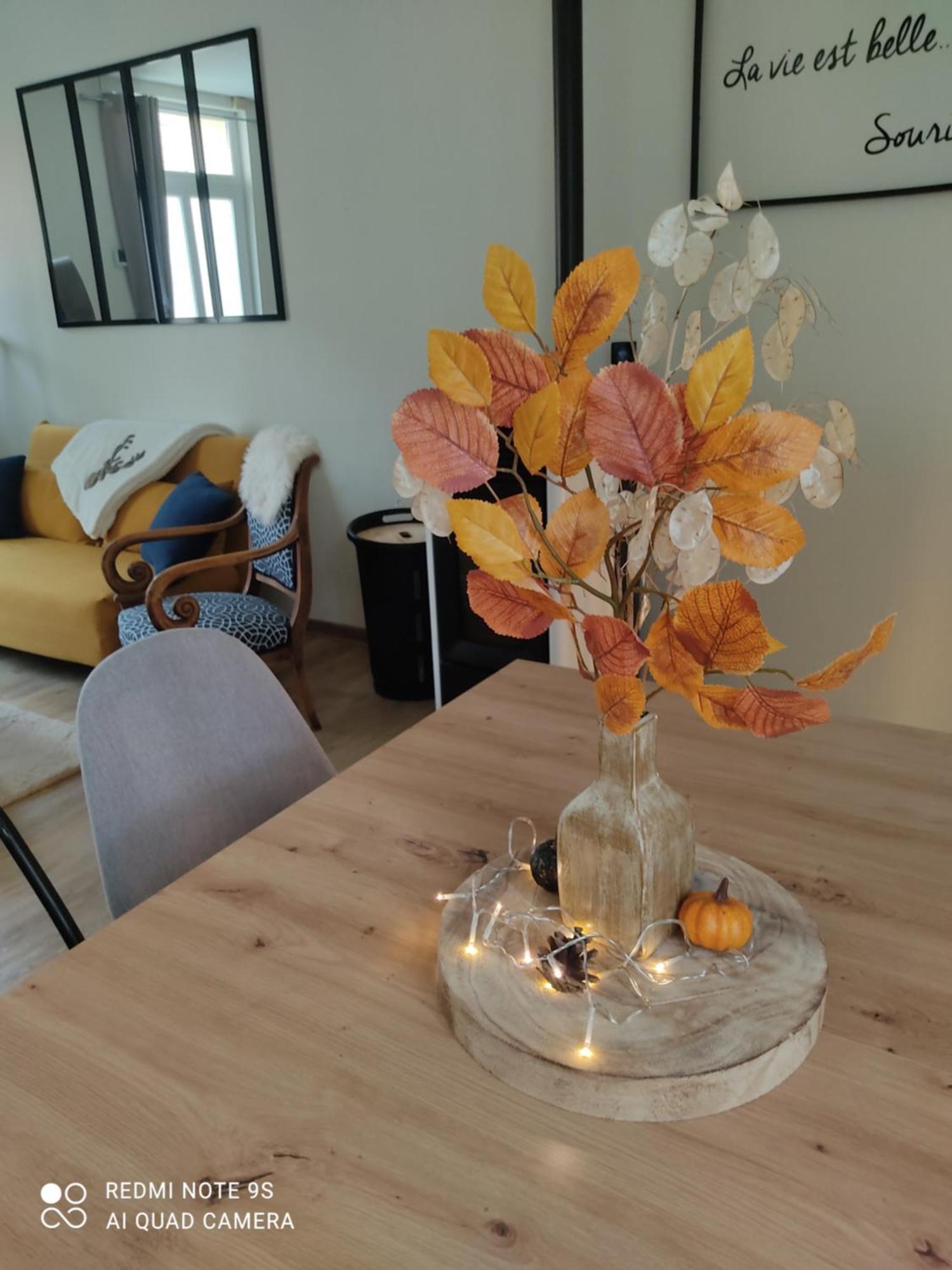 Le Cocon Des Hortillonnages D'Amiens Camon  Εξωτερικό φωτογραφία