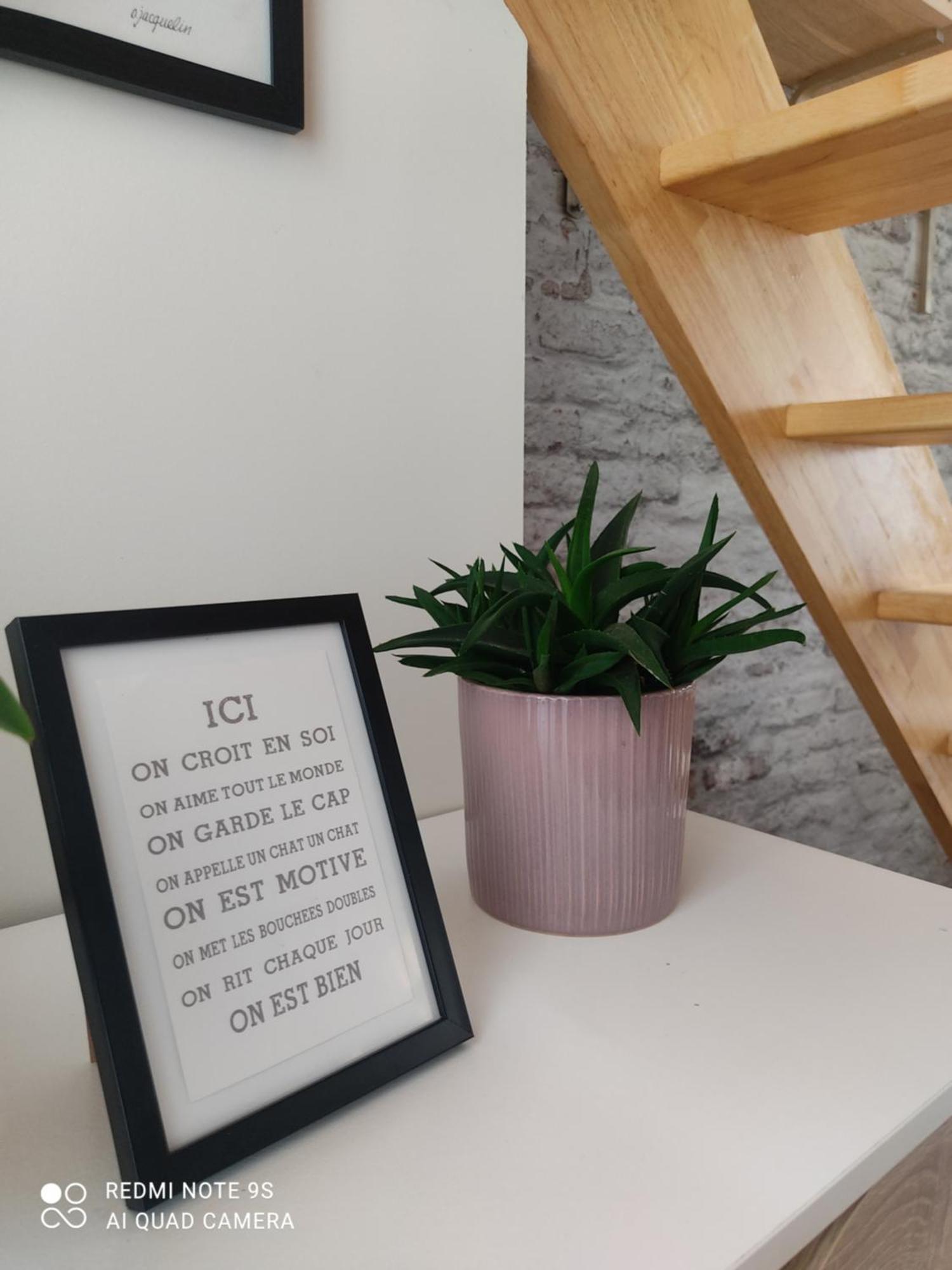 Le Cocon Des Hortillonnages D'Amiens Camon  Εξωτερικό φωτογραφία