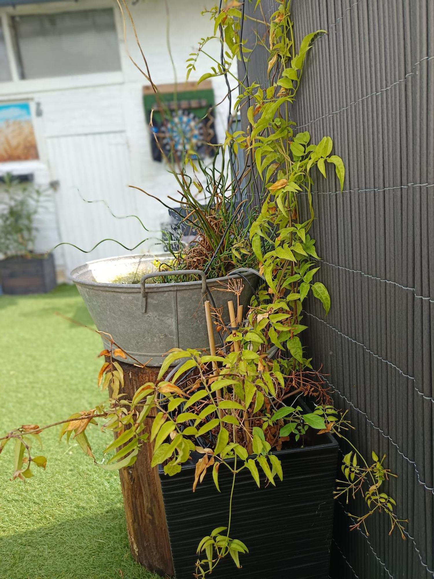 Le Cocon Des Hortillonnages D'Amiens Camon  Εξωτερικό φωτογραφία